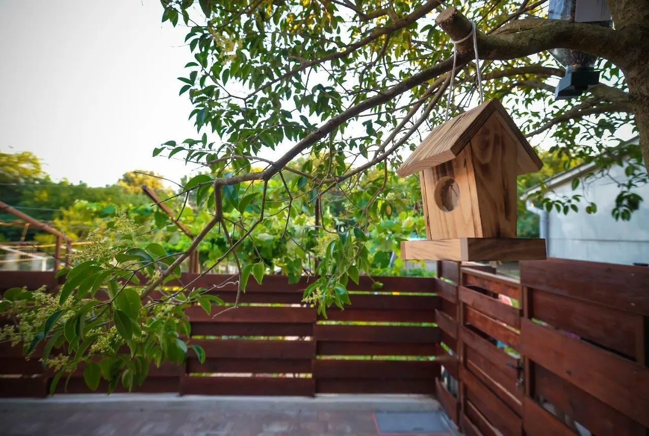 Vintage Garden Apartment Pula